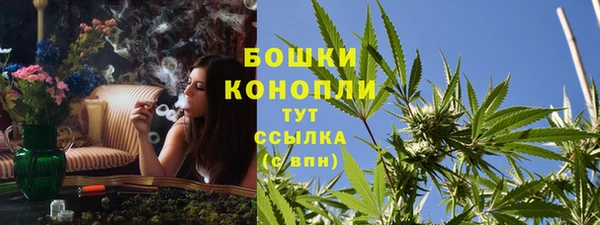 эйфоретик Зерноград